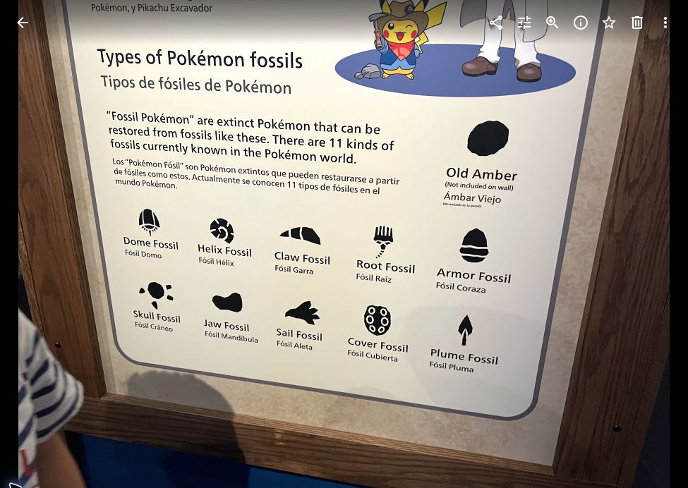 A museum panel comparing the shapes and names of different Pokémon fossils